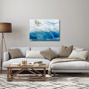 Obraz - Polárny medveď (70x50 cm)
