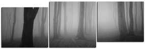 Obraz na plátne - Hmla v lese - panoráma 5182QE (120x40 cm)