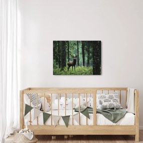 Obraz - Jeleň v hlbokom lese (70x50 cm)