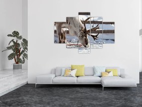 Obraz - Sob (150x105 cm)