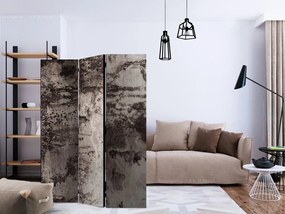 Artgeist Paraván - Old Metal [Room Dividers]