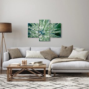 Obraz - Makro snímka kvetu (90x60 cm)