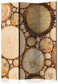 Artgeist Paraván - Wood grains [Room Dividers]