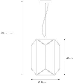 Lucide 25407/01/30 - Luster na lanku FERN 1xE27/60W/230V