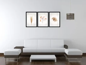 Gario Sada plagátov Dry nature - 3 dielna Farba rámu: Zlatá, Rozmery: 99 x 45 cm