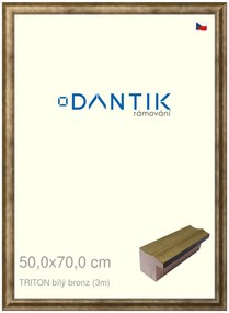 DANTIK rám na obraz 50x70 | TRITON bílý bronz (Plexi Čiré)