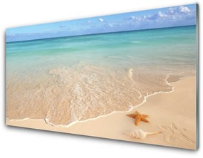 Obraz na skle Pláž hviezdice príroda 100x50 cm