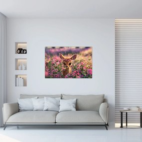 Obraz - Roztomilá srnčeka (90x60 cm)