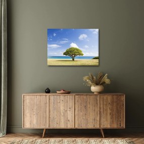Obraz pláže so stromom (70x50 cm)