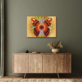 Obraz - Etno motýľ (70x50 cm)