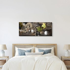 Obraz - Ležiaca mačka (120x50 cm)