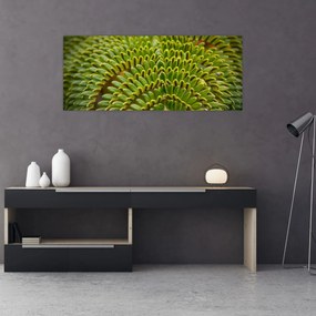 Obraz - Papraď (120x50 cm)