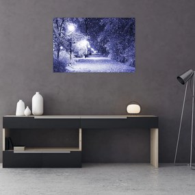 Obraz - Čarovná zimná noc (90x60 cm)