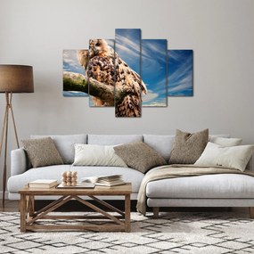 Obraz sovy (150x105 cm)