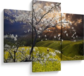 Obraz - Rozkvitnutý strom v krajine (90x60 cm)