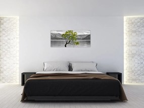 Obraz stromu uprostred jazera (120x50 cm)