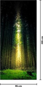 Fototapeta na dvere - Temný les (95x205cm)