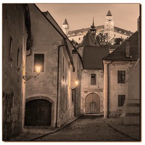 Obraz na plátne - Bratislava staré mesto s hradom vzadu - štvorec 3265FA (80x80 cm)