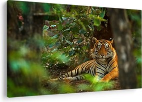 Obraz odpočívajúceho tigra (90x60 cm)