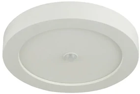 Globo 41605-18S - LED Vonkajšie stropné svietidlo so senzorom PAULA 1xLED/18W/230V GL4846