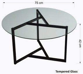 Konferenčný stolík TRIO 42x75 cm číra/čierna