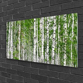 Obraz na skle Breza les stromy príroda 100x50 cm