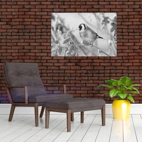 Obraz - Vtáčik v zime (90x60 cm)
