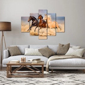 Obraz - Divé kone (150x105 cm)