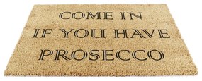 Rohožka z kokosového vlákna 40x60 cm Prosecco – Artsy Doormats
