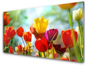 Obraz na akrylátovom skle Kvet 120x60 cm