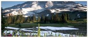 Obraz - Mount Rainier (120x50 cm)