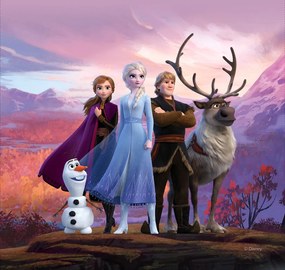 Detský vankúšik FROZEN 2 40x40 cm