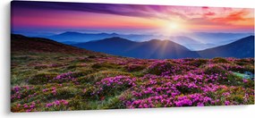 Obraz - Horská rozkvitnutá krajina (120x50 cm)