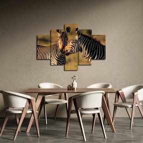 Obraz - Dve zebry (150x105 cm)