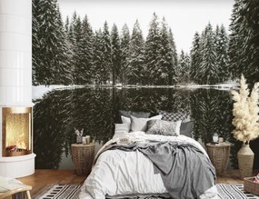 Fototapeta, Jezero v lese v zimě - 300x210 cm