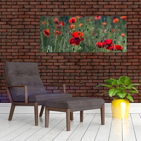 Obraz - Lúka s vlčími makmi (120x50 cm)