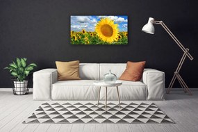 Obraz Canvas Slnečnica kvet rastlina 125x50 cm