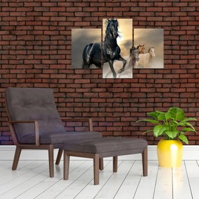 Obraz - Kone (90x60 cm)
