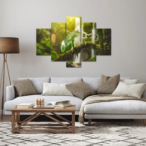 Obraz chameleóna (150x105 cm)