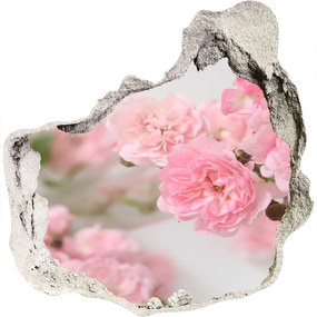 Fototapeta diera na stenu 3D Divoká ruža nd-p-113333755
