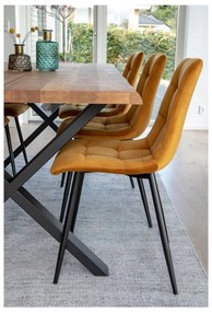 Súprava 2 jedálenských stoličiek s horčicovožltým poťahom zo zamatu House Nordic Middelfart