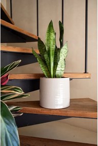 Keramický ručne vyrobený obal na kvetináč ø 18 cm Fortuna – Artevasi