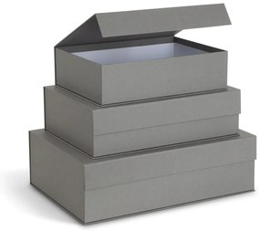Sivé kartónové úložné boxy v súprave 3 ks s vekom/dekoratívne 42,5x29,5x13 cm Kian Paper Laminate – Bigso