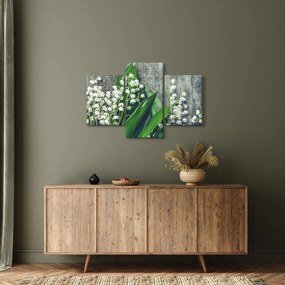 Obraz konvaliniek (90x60 cm)