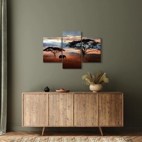 Obraz - Národný park Serengeti, Tanzánia, Afrika (90x60 cm)