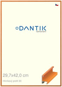 DANTIK rám na obraz 29,7x42 | ALU Dýha barevná oranžová (Plexi Čiré)