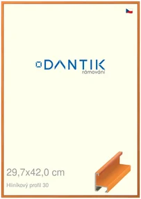 DANTIK rám na obraz 29,7x42 | ALU Dýha barevná oranžová (Plexi Čiré)