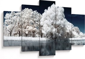 Obraz - Snehobiele stromy (150x105 cm)