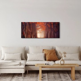 Obraz - Jesenné les (120x50 cm)