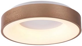 Rabalux LED stropné kruhové svietidlo Carmella 50W | 3400lm | 4000K | IP20 - biela so zlatou